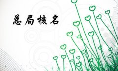 成都無地域核名怎么核?錦江區核名需要什么資料? 