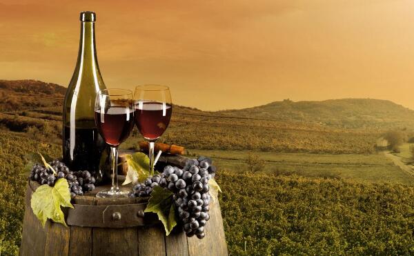 錦江區農業公司注冊資金多少合適?成都農業開發公司注冊條件?