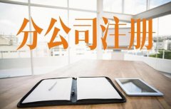 成都注冊(cè)分公司需要什么材料?新都區(qū)新注冊(cè)分公司需要核名嗎? 